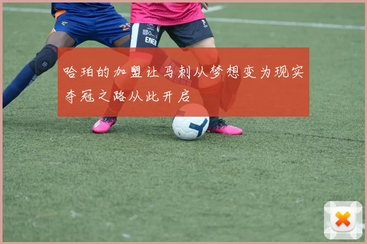 哈珀的加盟让马刺从梦想变为现实夺冠之路从此开启