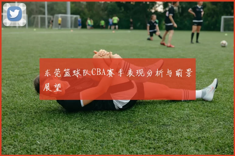 东莞篮球队CBA赛季表现分析与前景展望