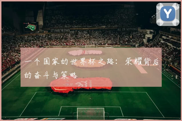 一个国家的世界杯之路:荣耀背后的奋斗与策略