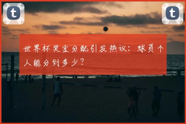 世界杯奖金分配引发热议:球员个人能分到多少?