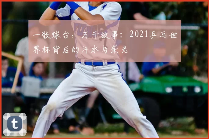 一张球台,万千故事:2021乒乓世界杯背后的汗水与荣光