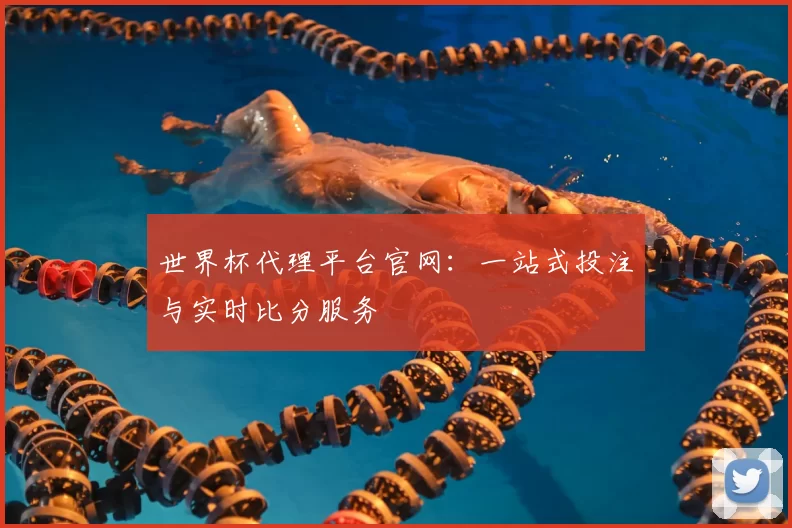 世界杯代理平台官网：一站式投注与实时比分服务