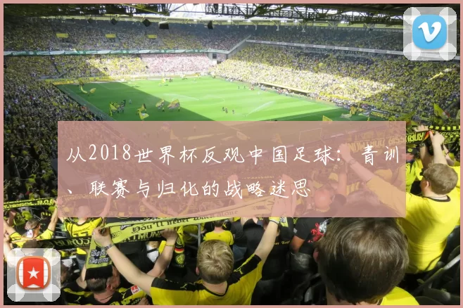 从2018世界杯反观中国足球:青训、联赛与归化的战略迷思