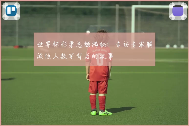 世界杯彩票总额揭秘：专访专家解读惊人数字背后的故事
