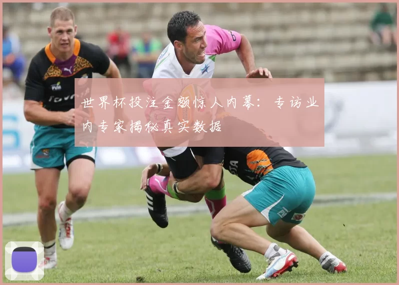 世界杯投注金额惊人内幕:专访业内专家揭秘真实数据