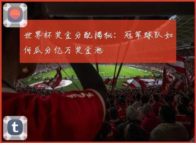 世界杯奖金分配揭秘：冠军球队如何瓜分亿万奖金池