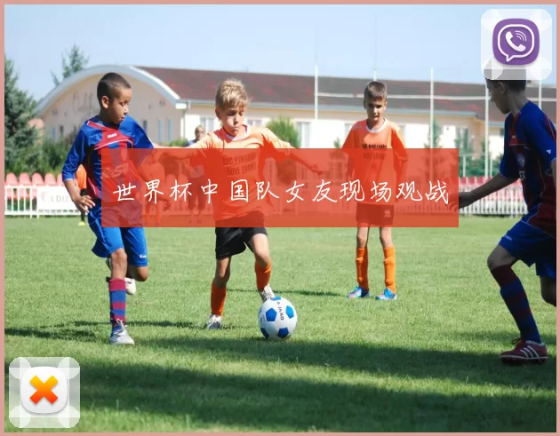 世界杯中国队女友现场观战