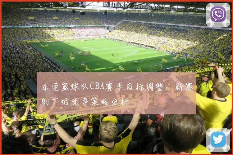 东莞篮球队CBA赛季目标调整，新赛制下的竞争策略分析