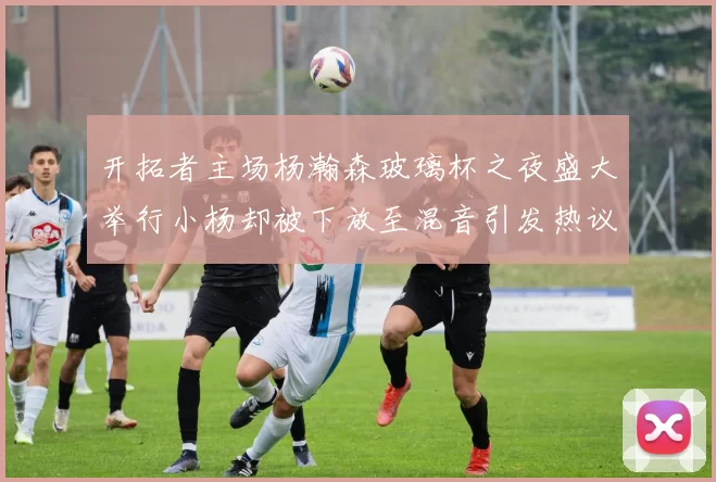 开拓者主场杨瀚森玻璃杯之夜盛大举行小杨却被下放至混音引发热议