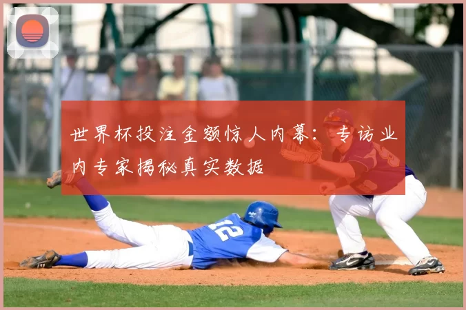 世界杯投注金额惊人内幕:专访业内专家揭秘真实数据