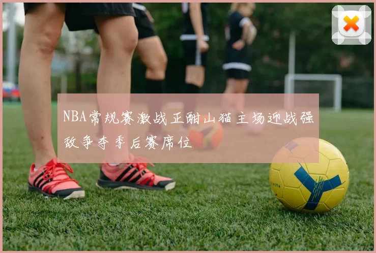 NBA常规赛激战正酣山猫主场迎战强敌争夺季后赛席位