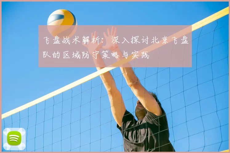 飞盘战术解析:深入探讨北京飞盘队的区域防守策略与实践