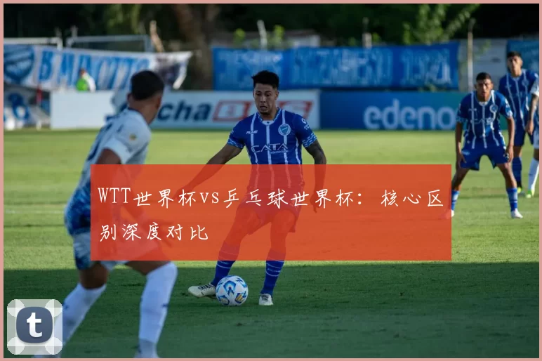 WTT世界杯vs乒乓球世界杯:核心区别深度对比