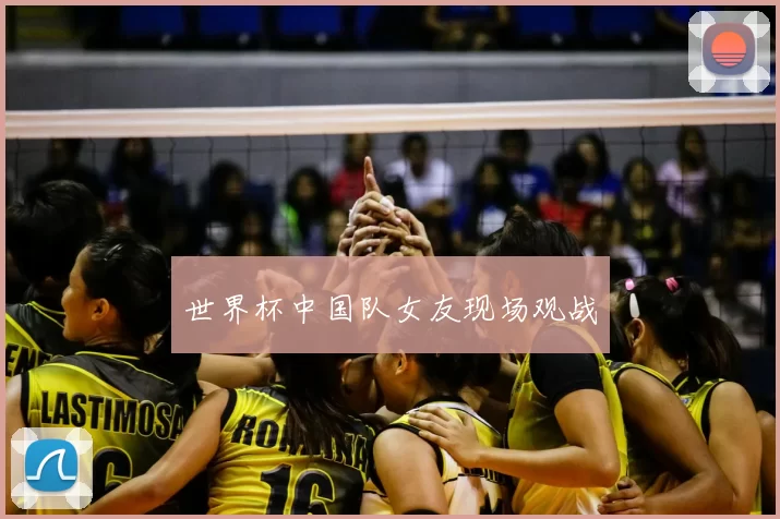 世界杯中国队女友现场观战