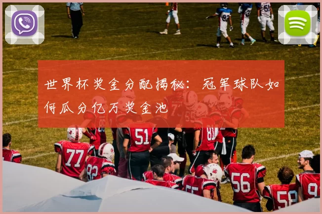 世界杯奖金分配揭秘：冠军球队如何瓜分亿万奖金池