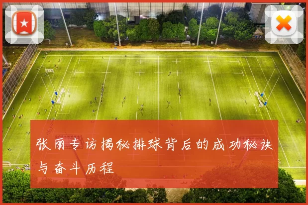 张丽专访揭秘排球背后的成功秘诀与奋斗历程