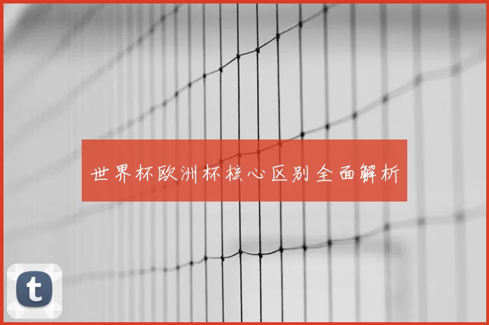 世界杯欧洲杯核心区别全面解析
