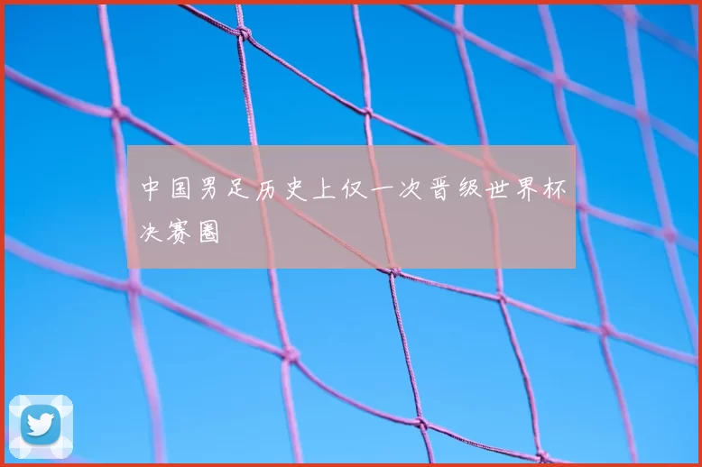 中国男足历史上仅一次晋级世界杯决赛圈